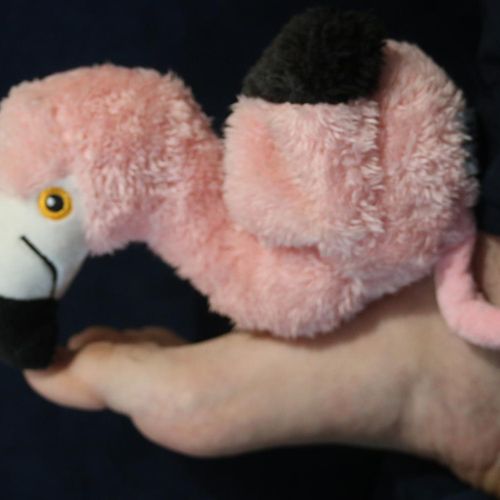 Feetstory MYM