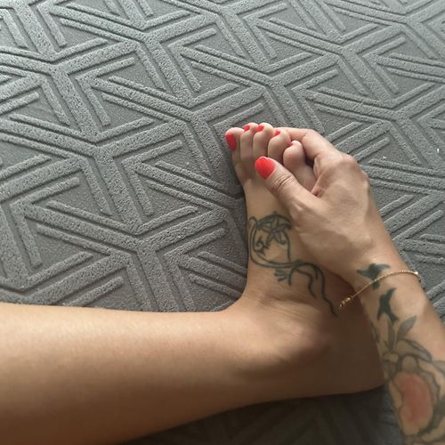 ️️️pies MYM