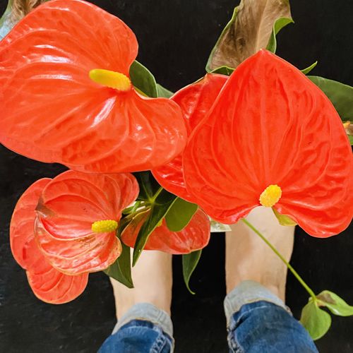 Feet-uniquely MYM