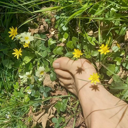 Pieds-nature MYM