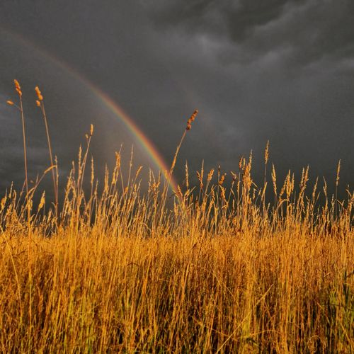 Natur_fotograf_mario MYM