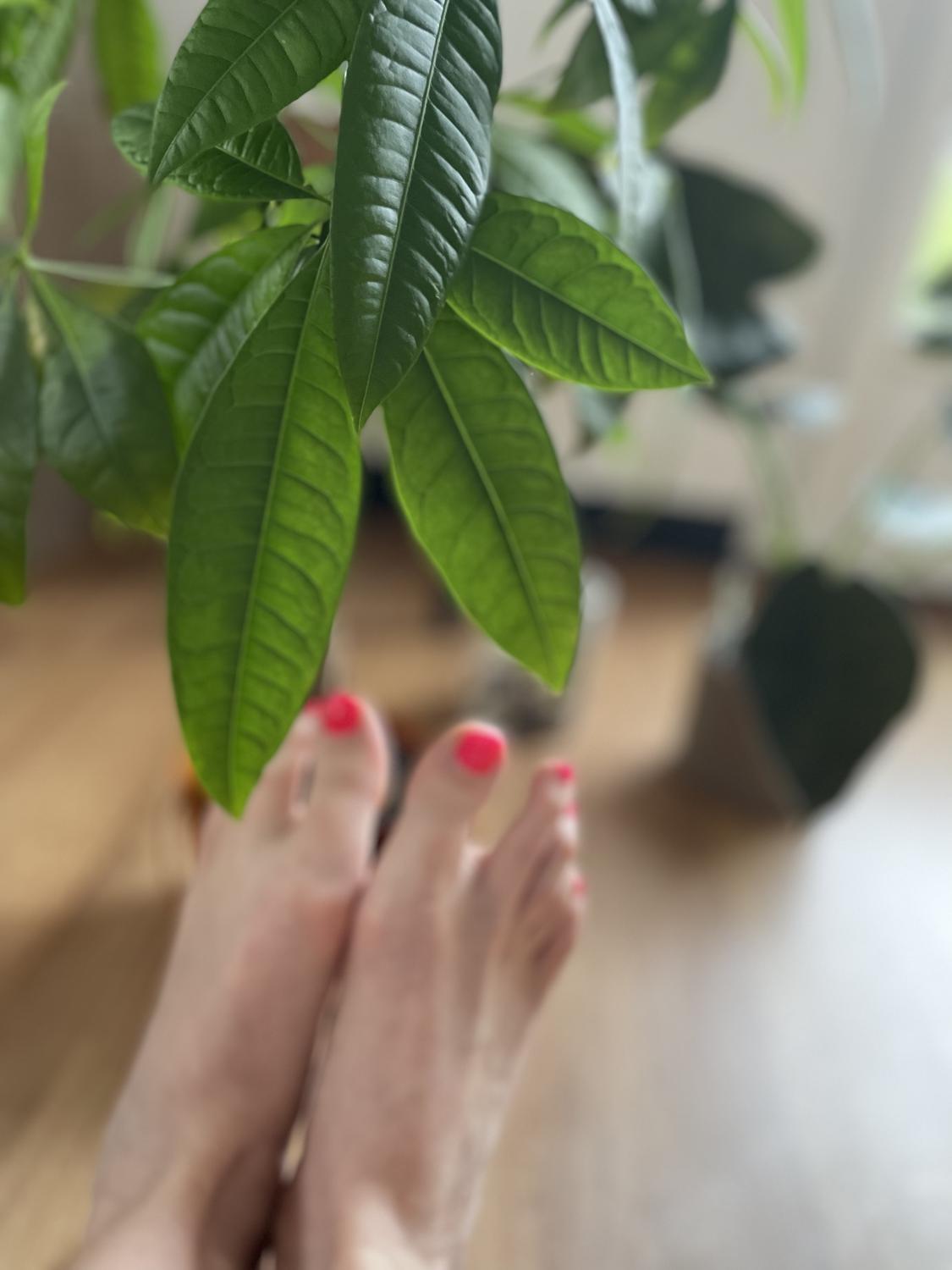 Hanna_feet - MYM Db 😍