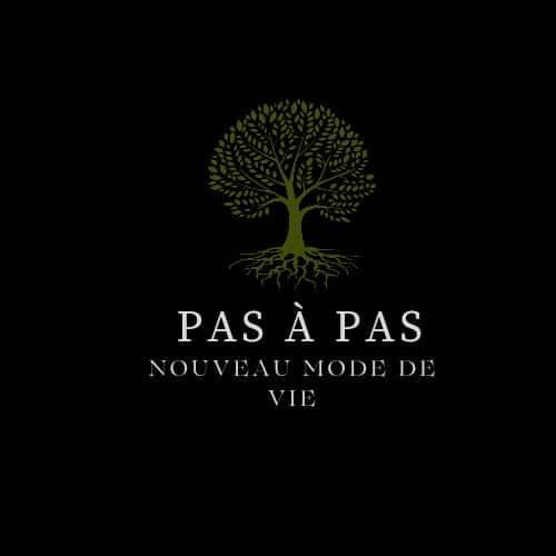 Pas-a-pas-nouveau-mode-de-vie MYM