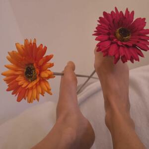 2Minipieds MYM
