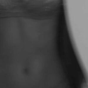 Abeille_lstar MYM