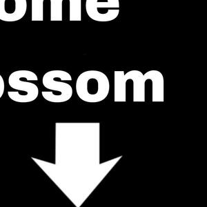 Alexromeroporn MYM