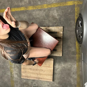 Araneae MYM