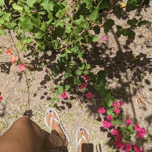 Beaulaufeet MYM