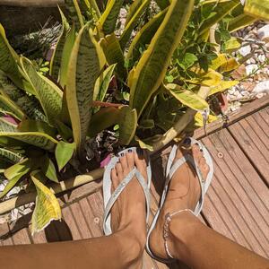 Beaulaufeet MYM
