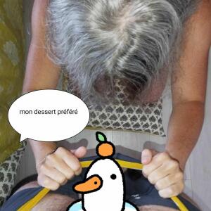 Bichon_06 MYM