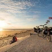 Bikefan MYM