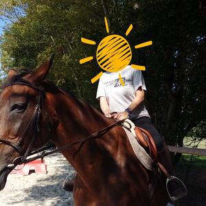 Calypso_71 MYM