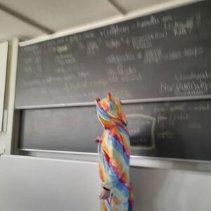 Cassandrelafolle MYM