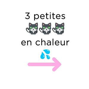 Cleagaultier MYM