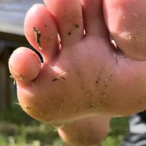 Deessenastya MYM