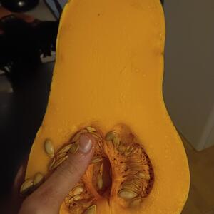 Domisiladore MYM