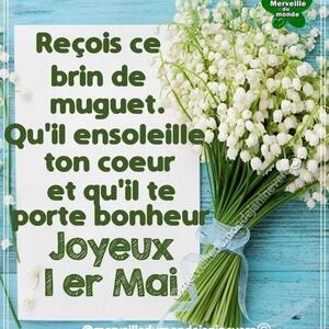 Douce-louve MYM
