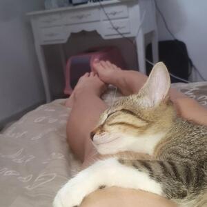 El_pepita MYM