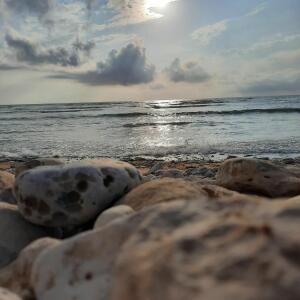 Elo_photo MYM