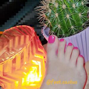 Feet-cactus MYM