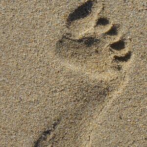 Feet_or MYM