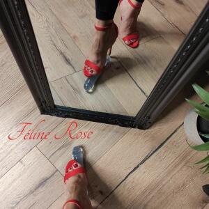 Feline_rose MYM
