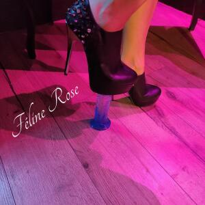 Feline_rose MYM