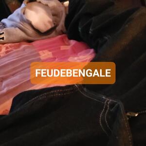 Feudebengale MYM