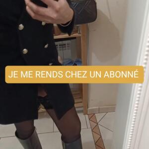 Feudebengale MYM