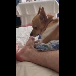 Foot_and_dog MYM