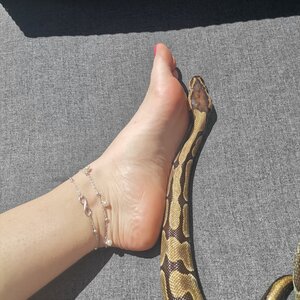 Foot_and_snake MYM