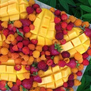 Fruitx_local MYM