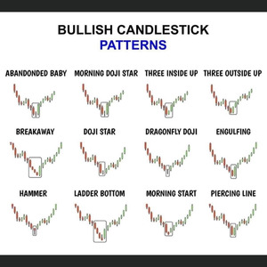 FxTRADING MYM