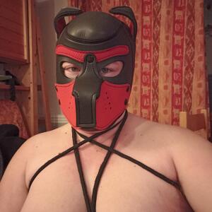 Gab_puppy MYM