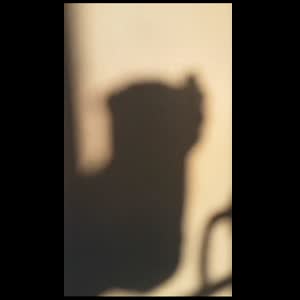 Habillee_de_poesie MYM