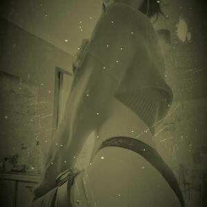 Harley66 MYM