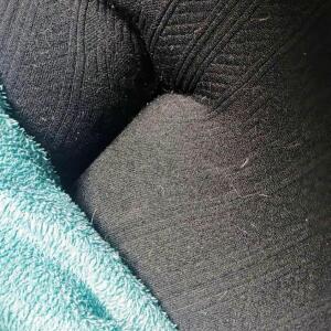 Hellania_nymryss_ MYM