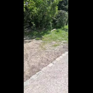 Italia_titi MYM