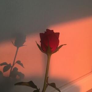 Kahai_d MYM