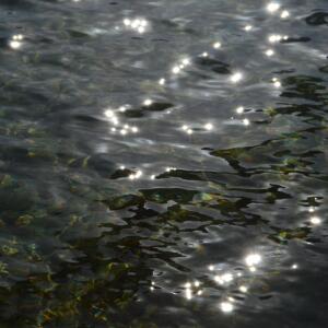 Kahai_d MYM