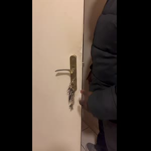 Kimber7123 MYM