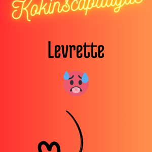 Kokinscapdagde MYM
