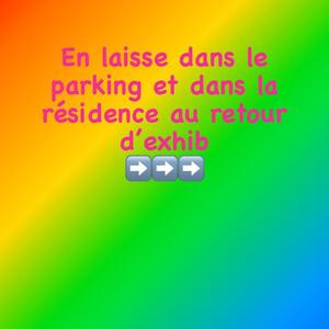 LadyOups MYM