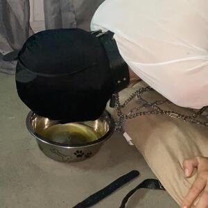 LadyOups MYM