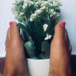 Lasjumelitas MYM