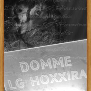 Lghoxxira MYM