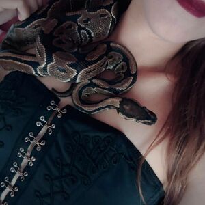 Lilith_icarus MYM