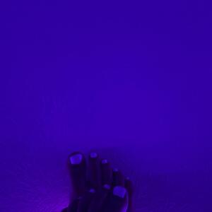 Littlefoot_06 MYM