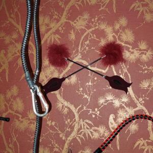 Maitresse-sacha-67 MYM