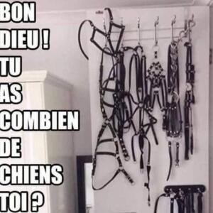 Maitresse-sacha-67 MYM